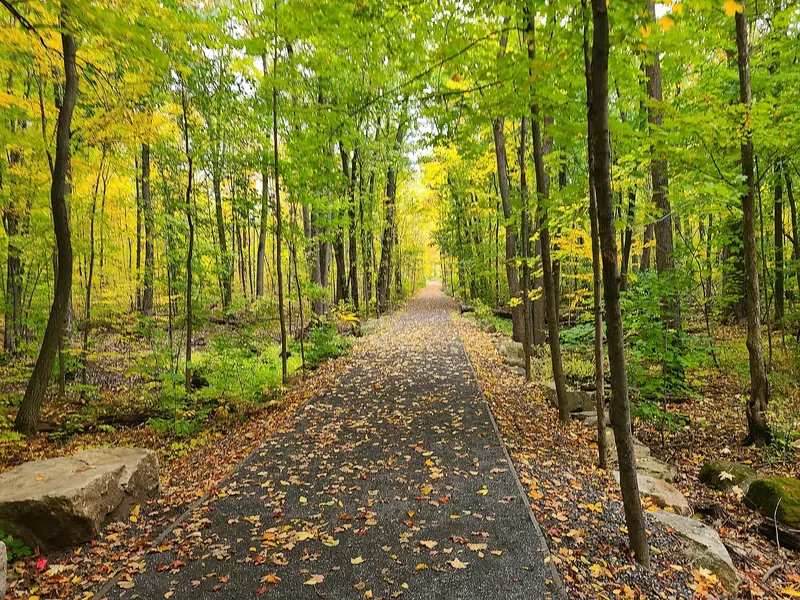 A path in Bois-de-Saraguay nature park in autumn