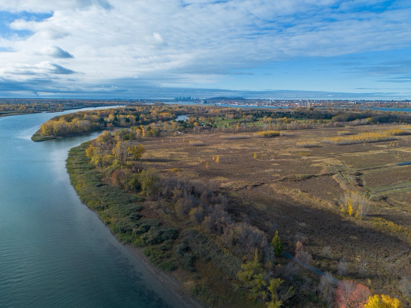 Aerial view of Îles-de-Boucherville National Park, with Montréal on the horizon