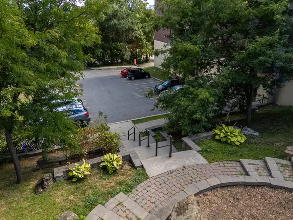 Steps and planting beside the parking.