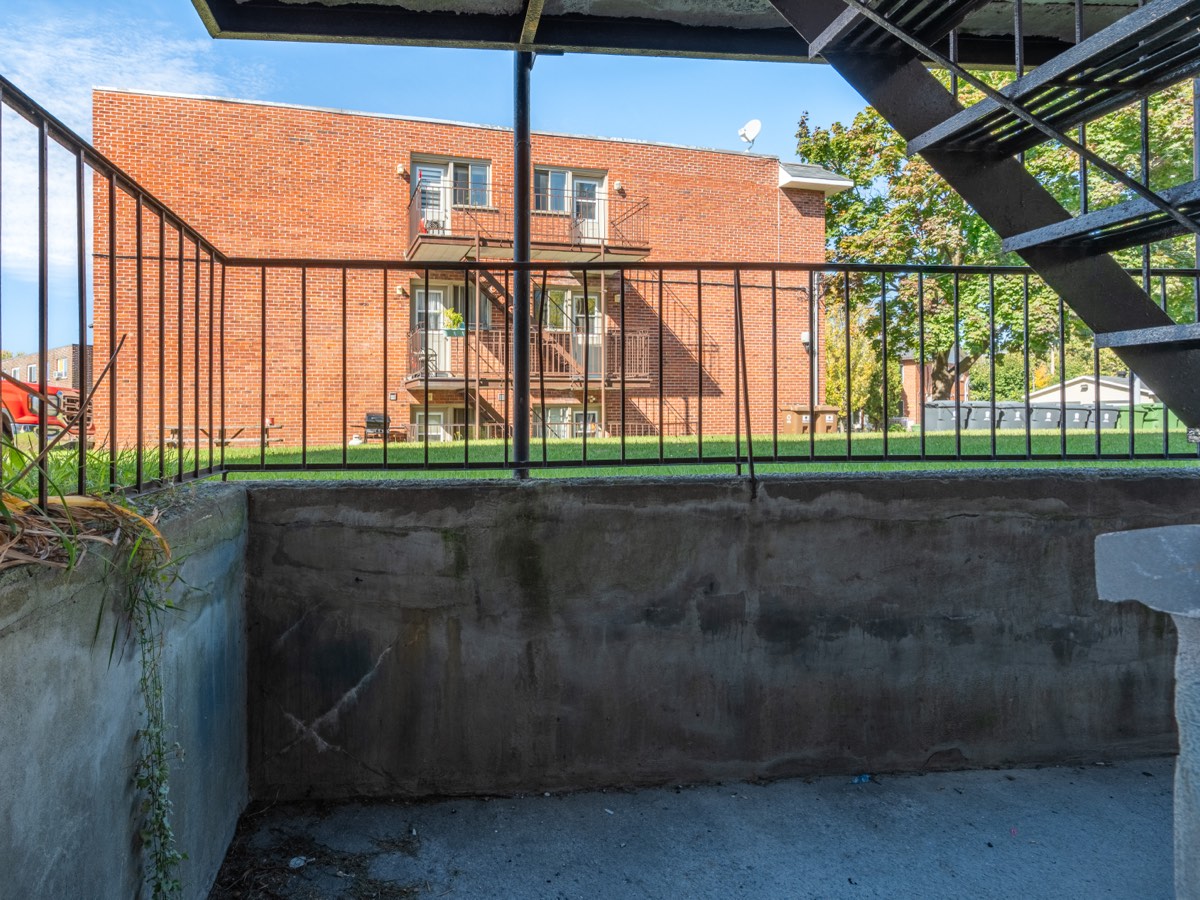 View from the rear door onto the grounds